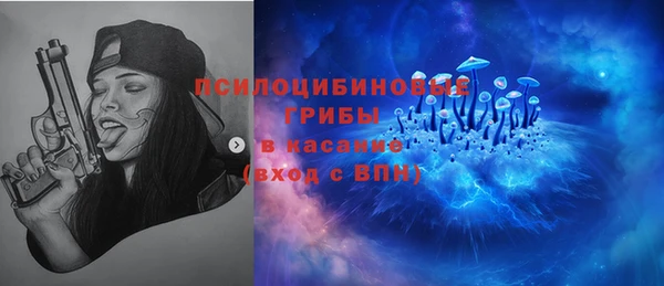 ГАЛЛЮЦИНОГЕННЫЕ ГРИБЫ Карталы