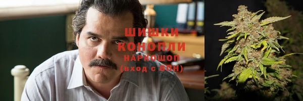 ГАЛЛЮЦИНОГЕННЫЕ ГРИБЫ Карталы