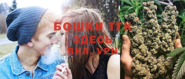 ГАЛЛЮЦИНОГЕННЫЕ ГРИБЫ Карталы