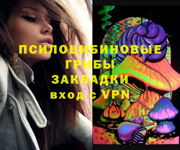 ГАЛЛЮЦИНОГЕННЫЕ ГРИБЫ Карталы