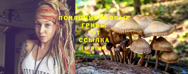 ГАЛЛЮЦИНОГЕННЫЕ ГРИБЫ Карталы